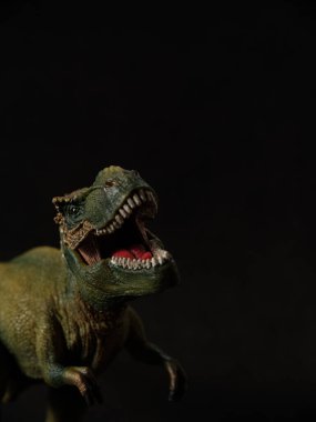 Tyrannosaurus figürü ve siyah arkaplan