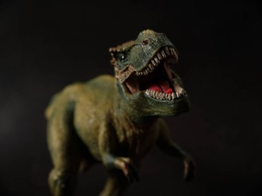 Tyrannosaurus figürü ve siyah arkaplan