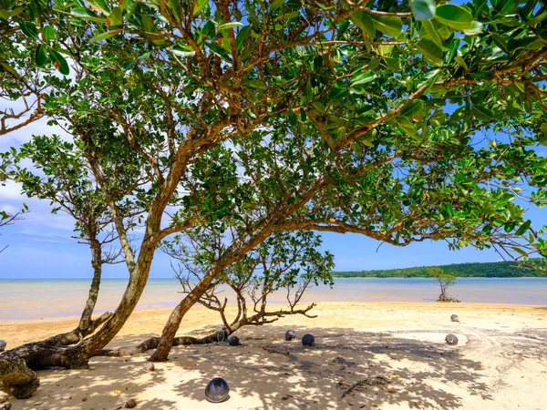 Bela Praia Ilha Iriomote — Fotografia de Stock