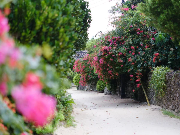 Taketomi Adası 'nın eski bir kasabası