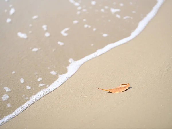日本小川美丽的海滩 — 图库照片