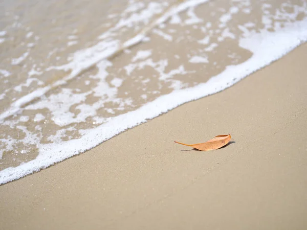 日本小川美丽的海滩 — 图库照片