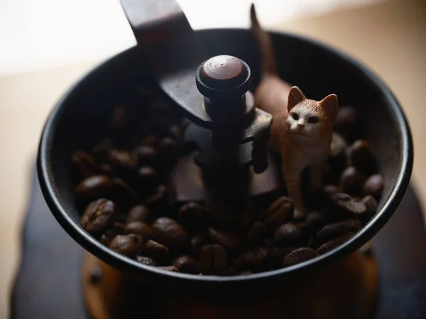 猫の姿とコーヒー豆 — ストック写真