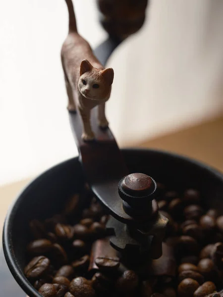 Cat Figure Coffee Beans — Stock Photo, Image