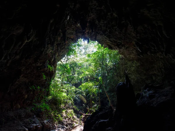 Grotta Calcarea Sull Isola Iriomote — Foto Stock