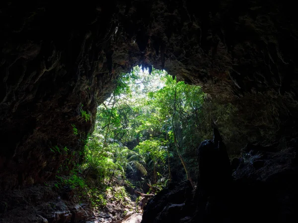 Cueva Piedra Caliza Isla Iriomote — Foto de Stock