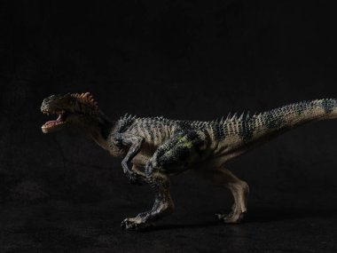 bir Allosaurus ve siyah arkaplan