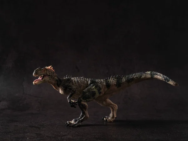 One Allosaurus Black Background — Stock Photo, Image