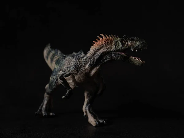 One Allosaurus Black Background — Stok fotoğraf