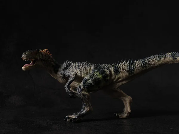 Egy Allosaurus Fekete Háttér — Stock Fotó