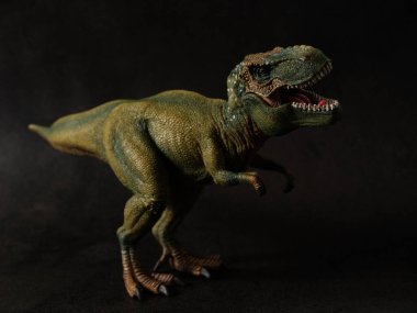 Tyrannosaurus figürü ve siyah arkaplan