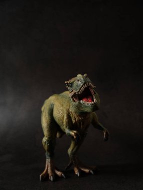 Tyrannosaurus figürü ve siyah arkaplan