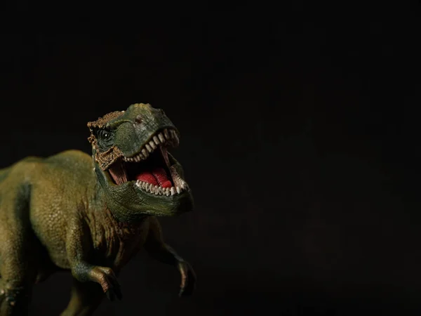Tyrannosaurus Figura Fekete Háttér — Stock Fotó
