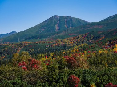 Daisetuzan Milli Parkı 'nda sonbahar manzarası