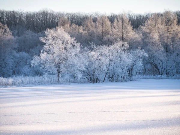 Paisaje Invierno Hokkaido Japón —  Fotos de Stock