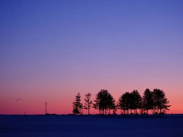 Dawn Winter Hokkaido Morning — Fotografia de Stock