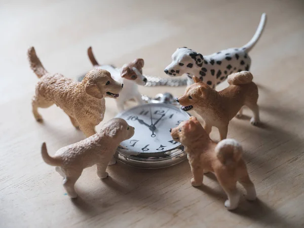 Pocket Horloge Hond Figuur — Stockfoto