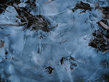 Kış Hokkaido 'sunda ölü ot