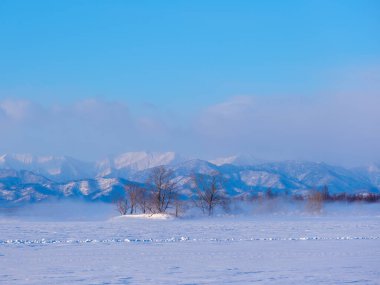 Kış sabahı soğuk sis