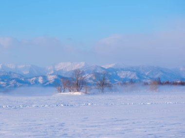 Kış sabahı soğuk sis