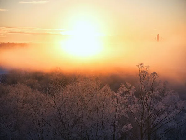 Kışın soğuk sis Hokkaido