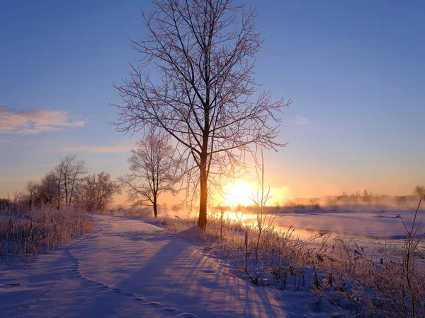 Cold Winter Morning Hokkaido — Fotografia de Stock