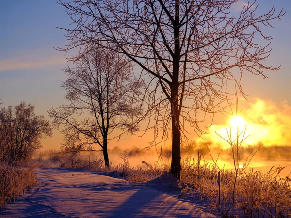 Cold Winter Morning Hokkaido — Fotografia de Stock