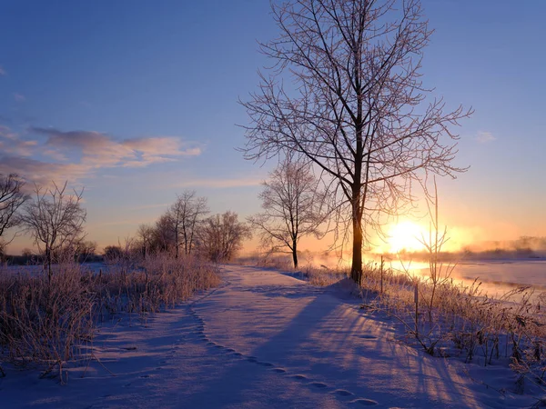 Cold Winter Morning Hokkaido — Fotografia de Stock