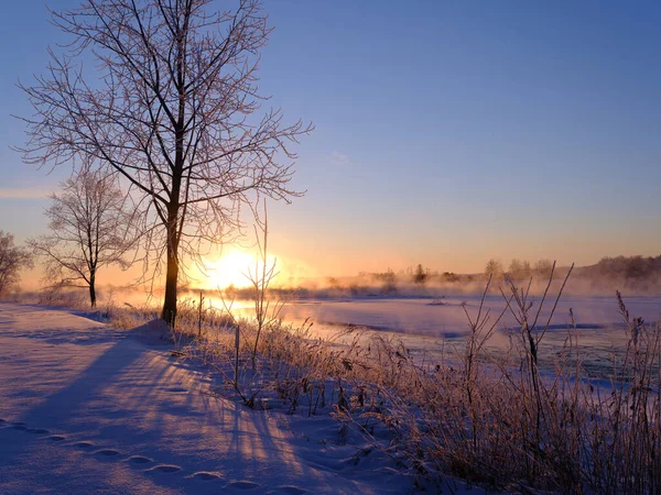 Холодное Зимнее Утро Хоккайдо — стоковое фото