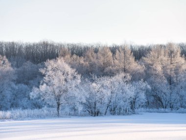 Buz kaplı tişört ve soğuk sis