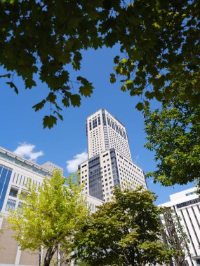 Sapporo Hokkaido 'daki sapporo istasyonu.