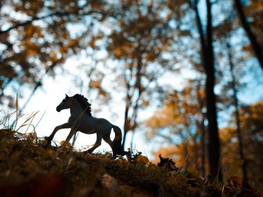 Sonbahar ormanında at sisi