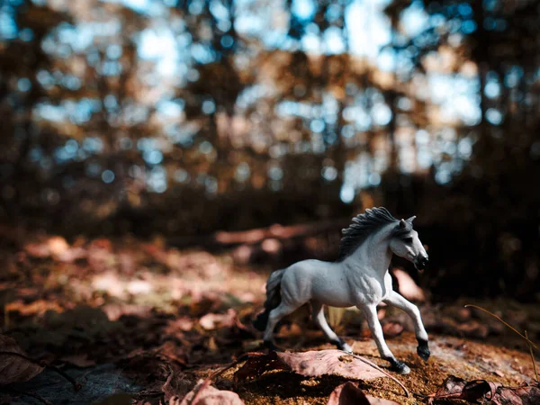 Pferdenebel Herbstwald — Stockfoto