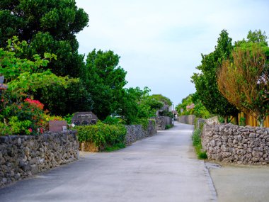 Taketomi Adası 'nın eski bir kasabası