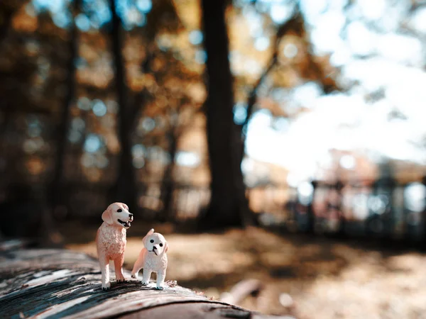 Figura Perro Bosque Otoño — Foto de Stock