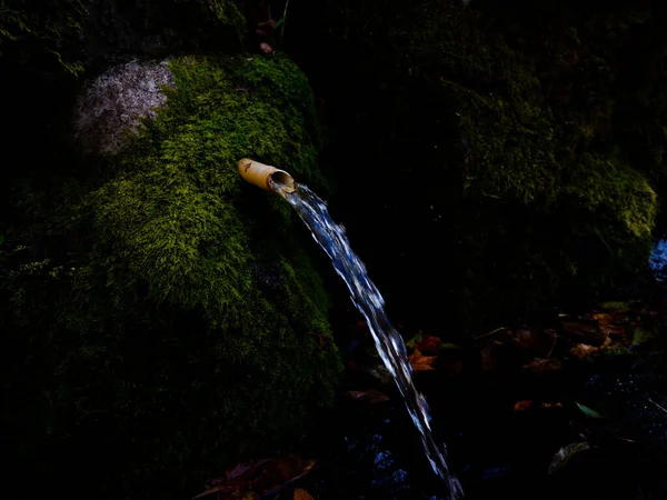 Весняна Вода Лісі Хаккайдо — стокове фото
