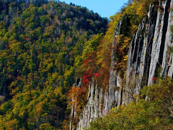 Feuilles Automne Sur Les Falaises Escarpées — Photo