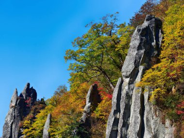 Dik yamaçlarda sonbahar yaprakları