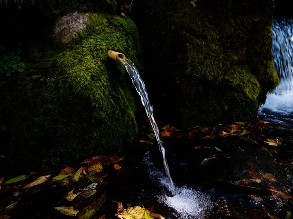 Agua Manantial Bosque Hokkaido —  Fotos de Stock