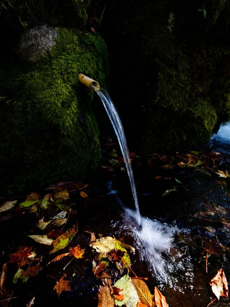 Água Nascente Floresta Hokkaido — Fotografia de Stock