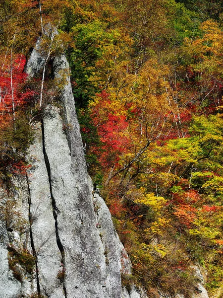 Herbstblätter Steilen Klippen — Stockfoto