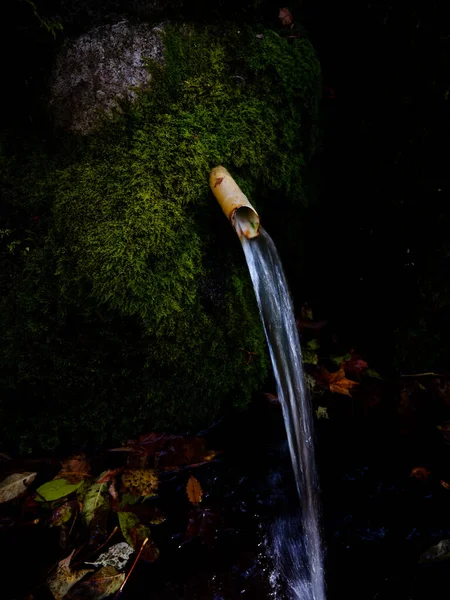 Água Nascente Floresta Hokkaido — Fotografia de Stock