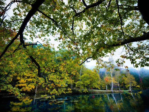 Парк Торінума Хурано Хоккайдо — стокове фото
