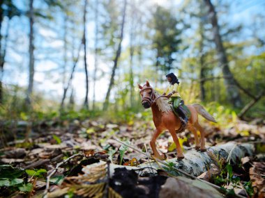 Sonbahar ormanında at sisi