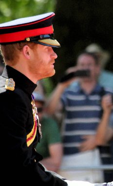 HRH Prine Harry Suluboya Efekti