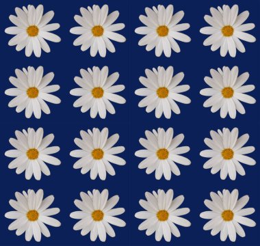 Soyut ve çağdaş dijital sanat çiçekli ambalaj kağıdı tasarımı