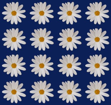 Soyut ve çağdaş dijital sanat çiçekli ambalaj kağıdı tasarımı