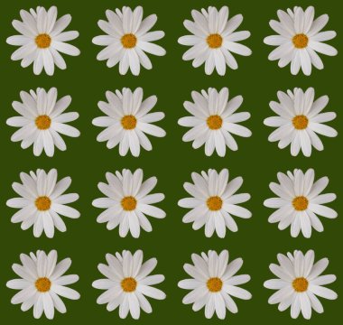 Soyut ve çağdaş dijital sanat çiçekli ambalaj kağıdı tasarımı