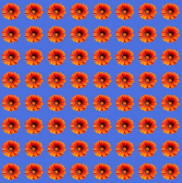 Abstract Hedendaagse Digitale Kunst Florale Verpakking Papier Ontwerp — Stockfoto