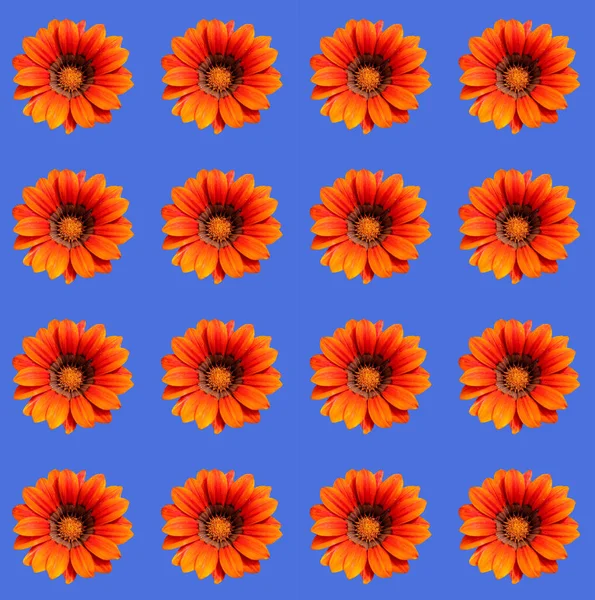 Streszczenie Współczesna Sztuka Cyfrowa Projekt Papieru Pakowania Kwiatowego — Zdjęcie stockowe